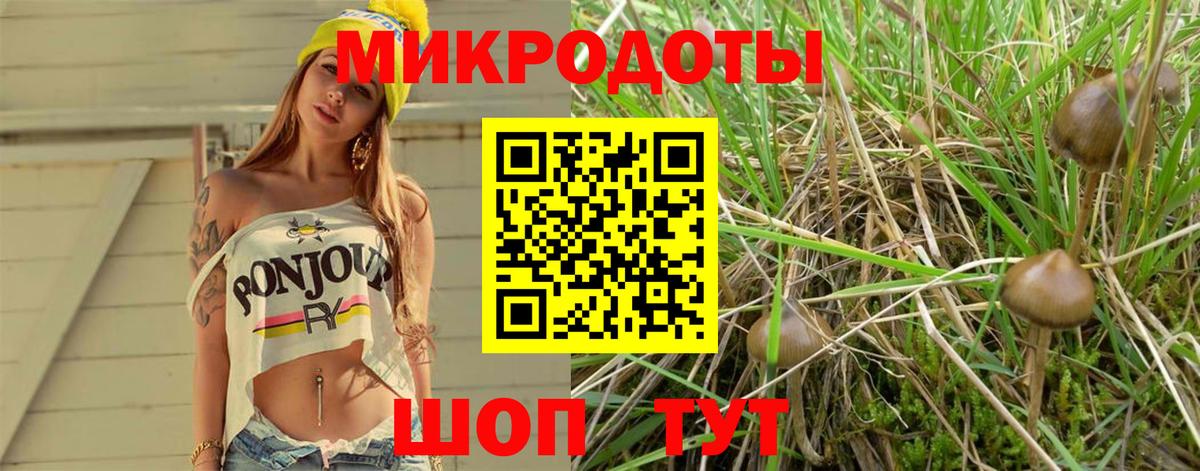 Галлюциногенные грибы мухоморы  Вход с VPN  купить  сайты  Сальск  Галлюциногенные грибы Cubensis 